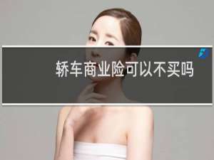 轿车商业险可以不买吗