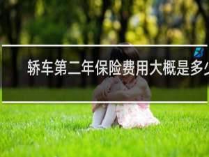 轿车第二年保险费用大概是多少