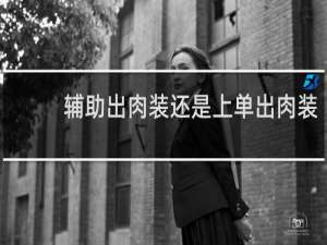 辅助出肉装还是上单出肉装