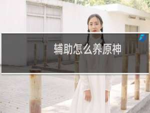 辅助怎么养原神