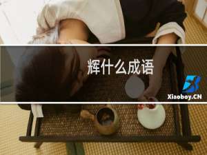 辉什么成语