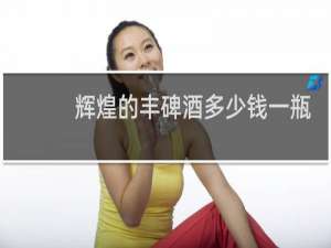 辉煌的丰碑酒多少钱一瓶