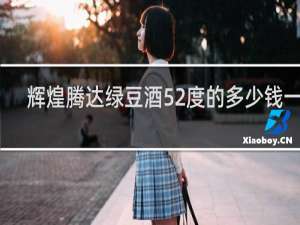 辉煌腾达绿豆酒52度的多少钱一瓶