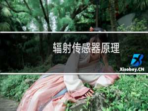 辐射传感器原理