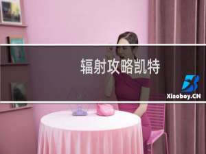 辐射攻略凯特