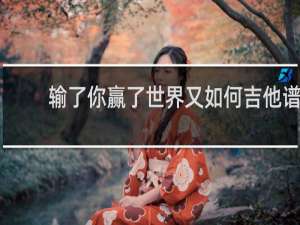 输了你赢了世界又如何吉他谱