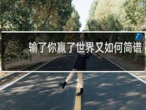 输了你赢了世界又如何简谱