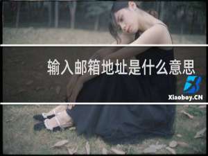 输入邮箱地址是什么意思