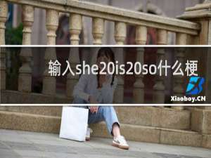输入she is so什么梗