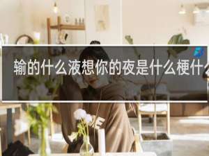 輸的什么液想你的夜是什么梗什么梗