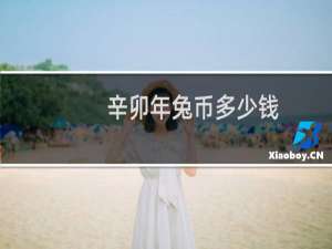 辛卯年兔币多少钱