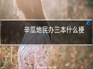 辛瓜地民办三本什么梗