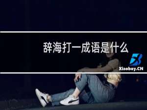 辞海打一成语是什么