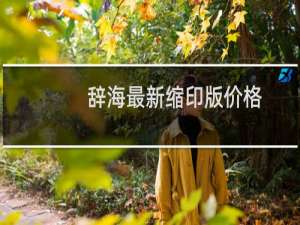 辞海最新缩印版价格