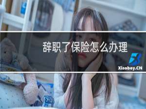 辞职了保险怎么办理