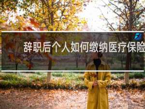 辞职后个人如何缴纳医疗保险