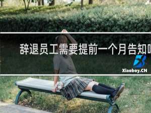 辞退员工需要提前一个月告知吗