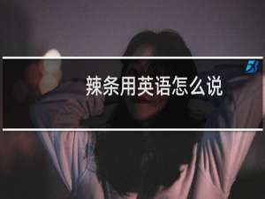 辣条用英语怎么说