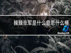辣辣辛军是什么意思什么梗