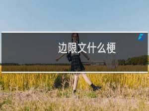边限文什么梗