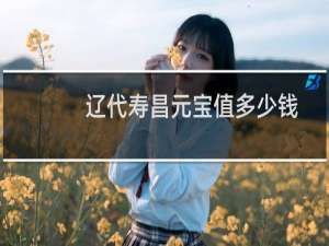 辽代寿昌元宝值多少钱