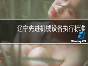 辽宁先进机械设备执行标准