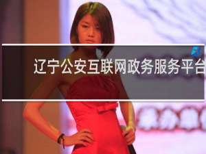 辽宁公安互联网政务服务平台