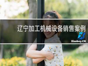 辽宁加工机械设备销售案例