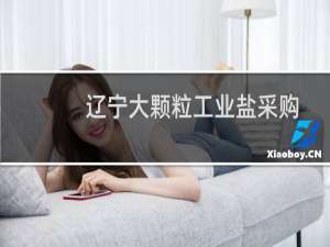 辽宁大颗粒工业盐采购