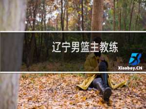辽宁男篮主教练