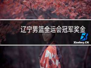 辽宁男篮全运会冠军奖金是多少