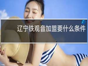 辽宁铁观音加盟要什么条件