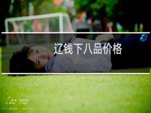 辽钱下八品价格
