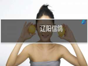 辽阳信鸽