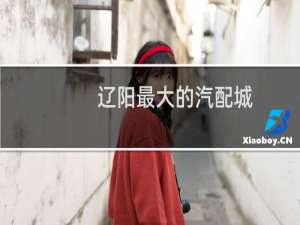 辽阳最大的汽配城