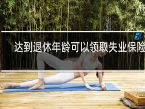 达到退休年龄可以领取失业保险吗