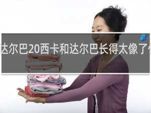 达尔巴 西卡和达尔巴长得太像了什么梗
