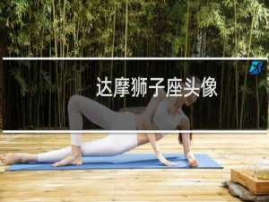 达摩狮子座头像
