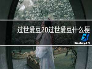 过世爱豆 过世爱豆什么梗