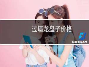 过墙龙盘子价格