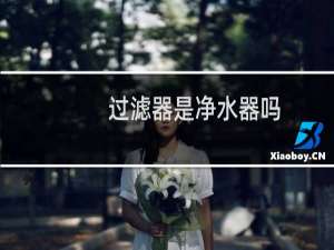 过滤器是净水器吗