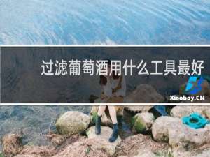 过滤葡萄酒用什么工具最好