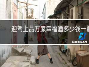 迎驾上品万家幸福酒多少钱一瓶