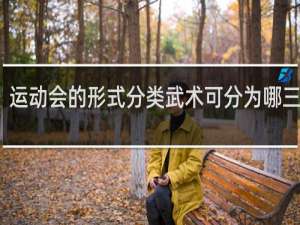 运动会的形式分类武术可分为哪三大类