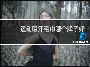 运动吸汗毛巾哪个牌子好