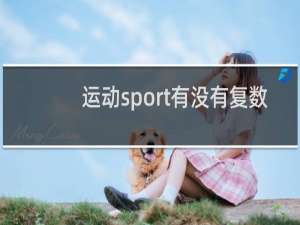 运动sport有没有复数