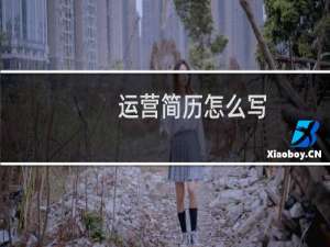 运营简历怎么写