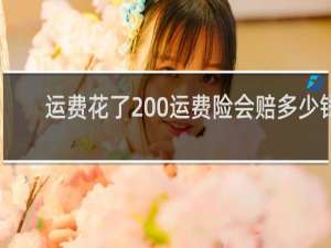 运费花了200运费险会赔多少钱