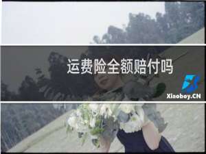 运费险全额赔付吗