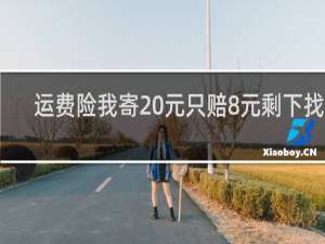 运费险我寄20元只赔8元剩下找谁